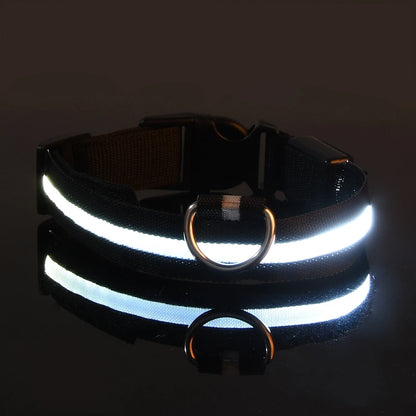Illuminate Your Walks: Nylon LED Night Safety Flashing Glow in the Dark Dog Leash & Collar for All Dogs