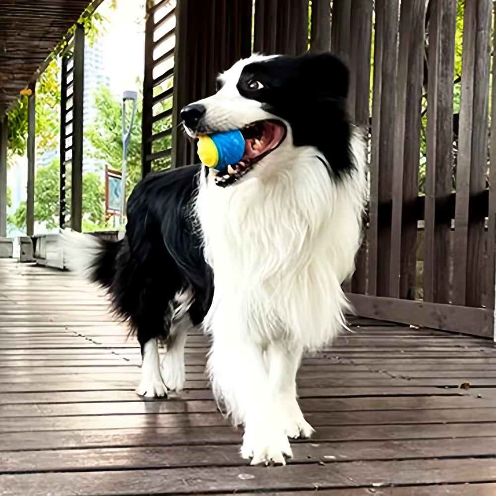 Durable Interactive Dog Toy Ball - Perfect for Chewing and Teeth Grinding!