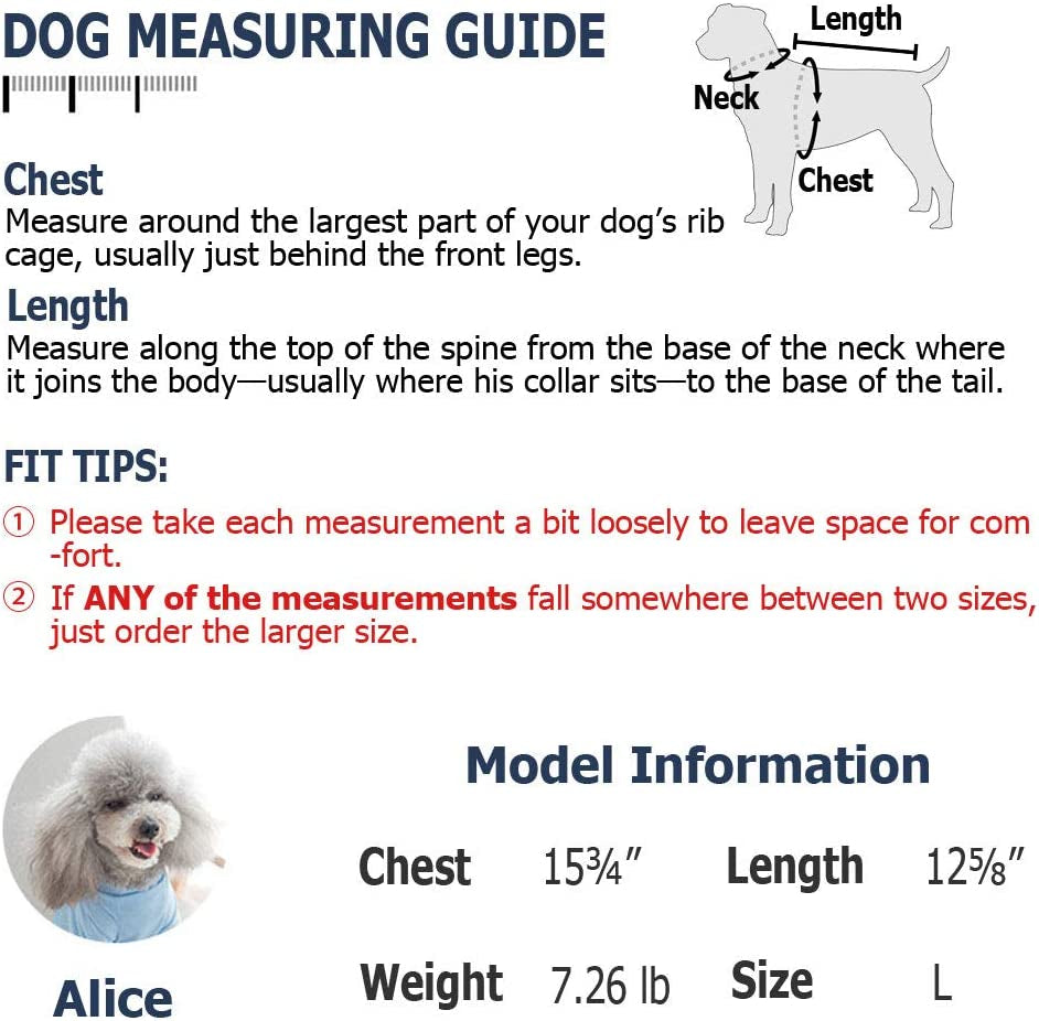 Trendy Denim Overalls for Small and Medium Dogs - Stylish Costumes for Every Occasion