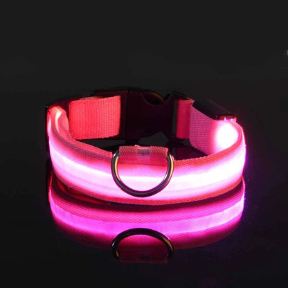 Illuminate Your Walks: Nylon LED Night Safety Flashing Glow in the Dark Dog Leash & Collar for All Dogs