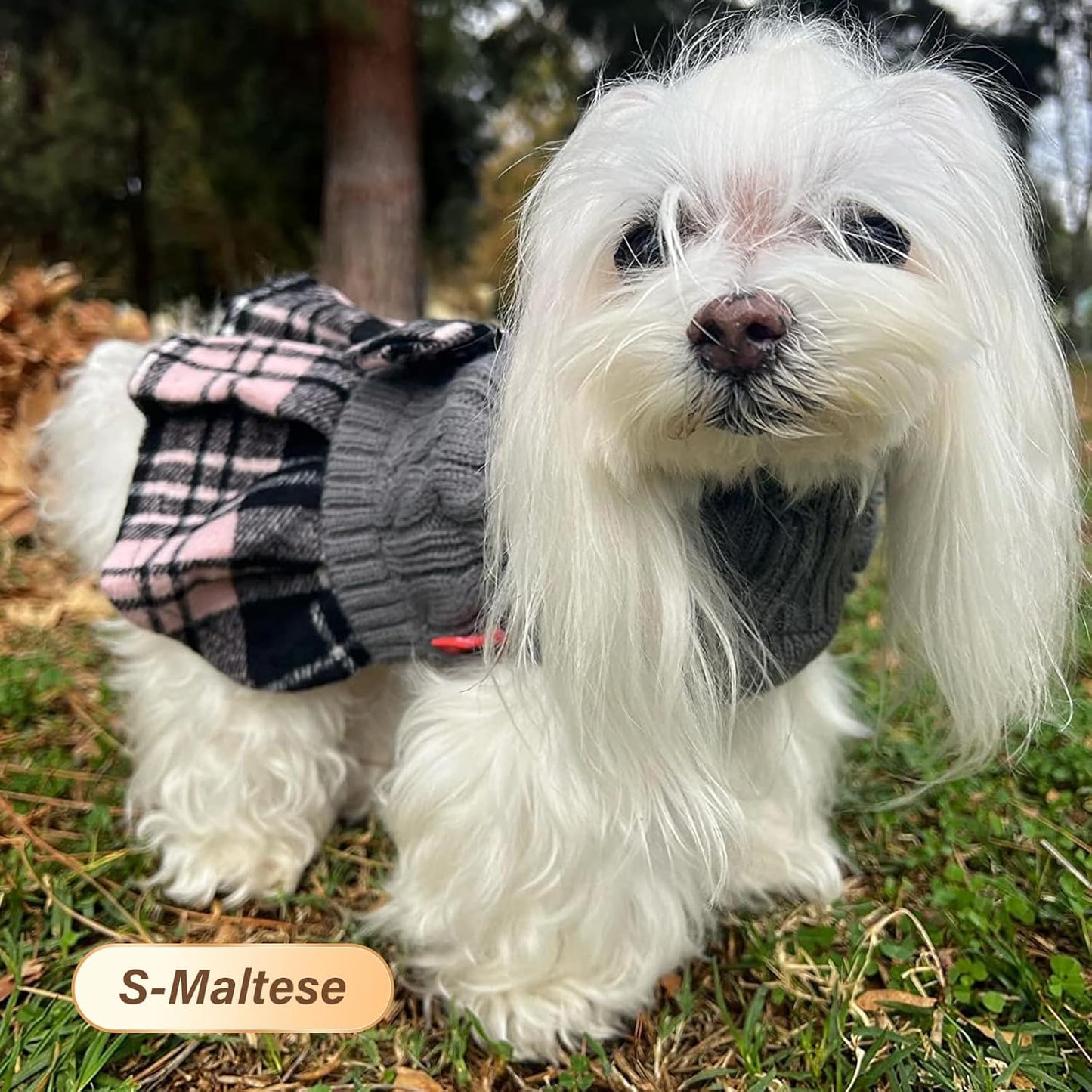Cozy and Chic Bowtie Turtleneck Dog Sweater - Perfect for Small Dogs and Cats in Cold Weather