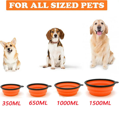Folding Portable Silicone Dog Feeder Bowl - 2-in-1 Pet Dispenser for Outdoor Adventures with Carabiner Bottle for Food and Water