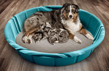 ® Pawtect® Washable Dog Pee Pads - Premium Waterproof and Reusable Whelping Pads (2-Pack, Tan/Grey, 36" Round)