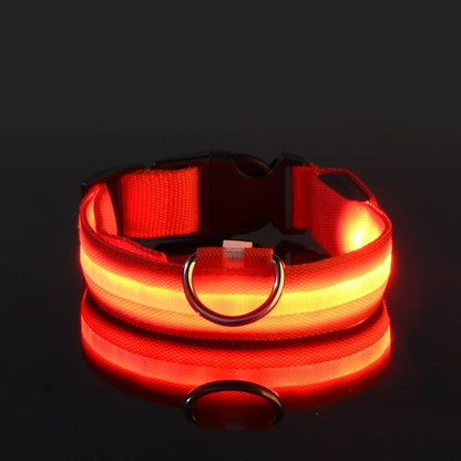 Illuminate Your Walks: Nylon LED Night Safety Flashing Glow in the Dark Dog Leash & Collar for All Dogs