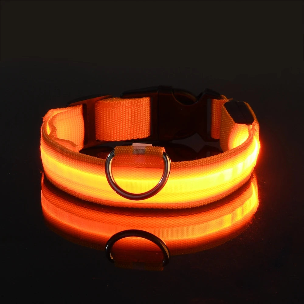 Illuminate Your Walks: Nylon LED Night Safety Flashing Glow in the Dark Dog Leash & Collar for All Dogs
