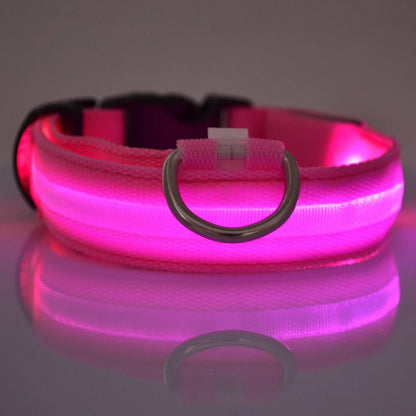 Illuminate Your Walks: Nylon LED Night Safety Flashing Glow in the Dark Dog Leash & Collar for All Dogs