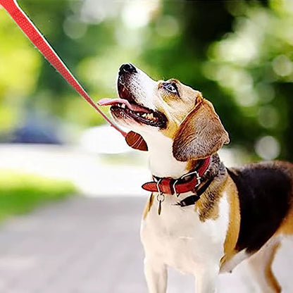 Durable Nylon Pet Dog Training Leash - Perfect for Small and Large Dogs, Available in 1.5/3/5/6M Lengths