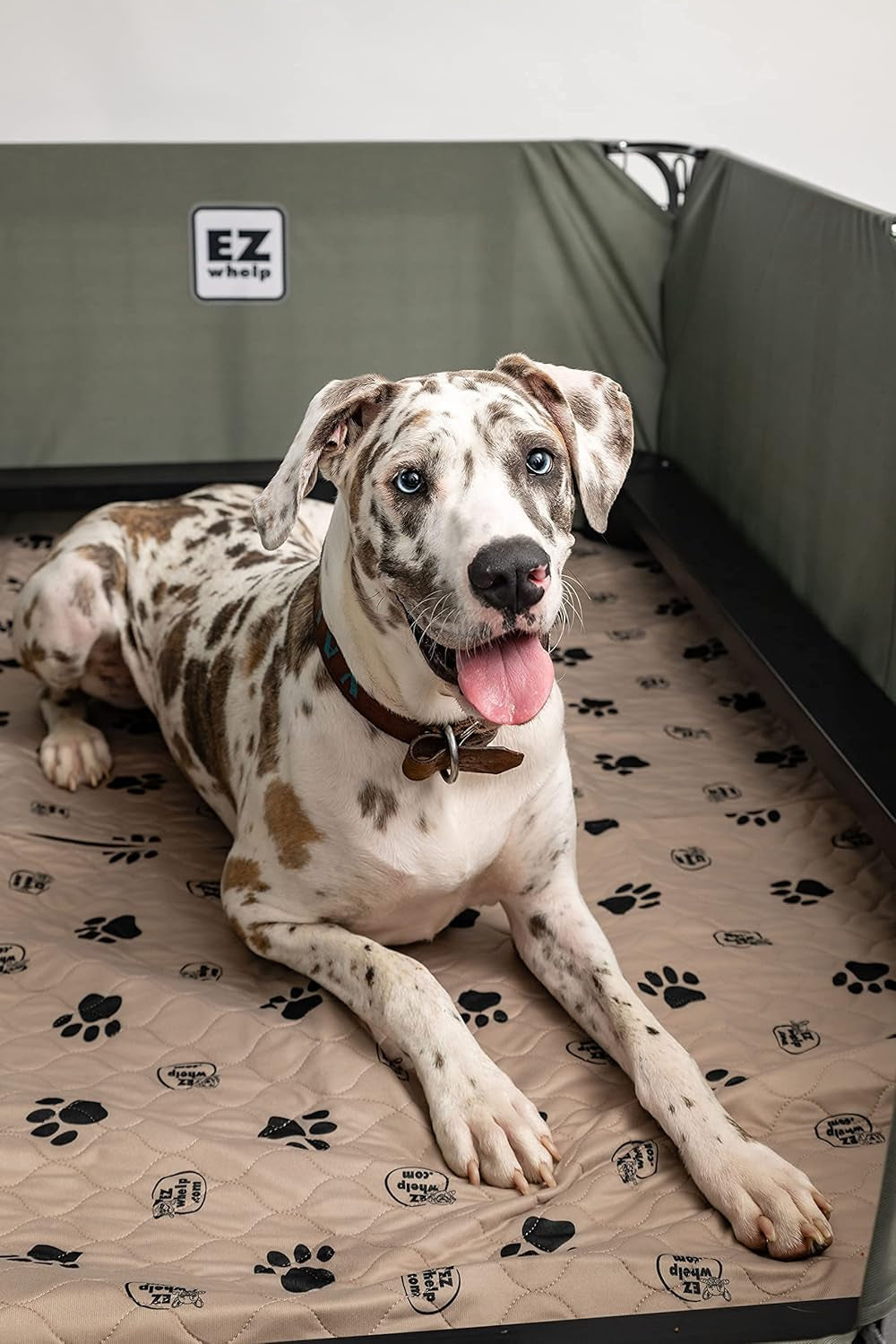 Ultimate Reusable Dog Pee Pads - Washable Waterproof Training Mats with Rounded Corners, 36x48 Inch, Set of 2 for Pet Lovers