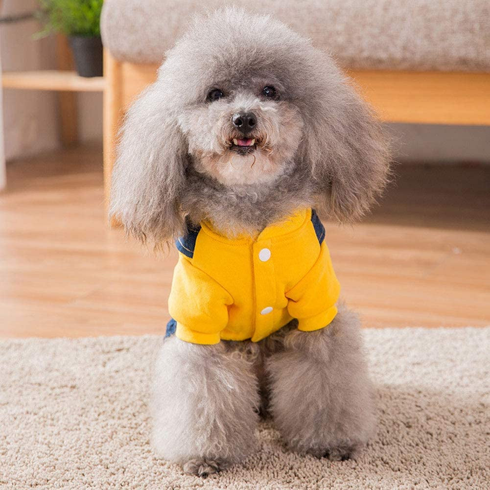 Trendy Denim Overalls for Small and Medium Dogs - Stylish Costumes for Every Occasion