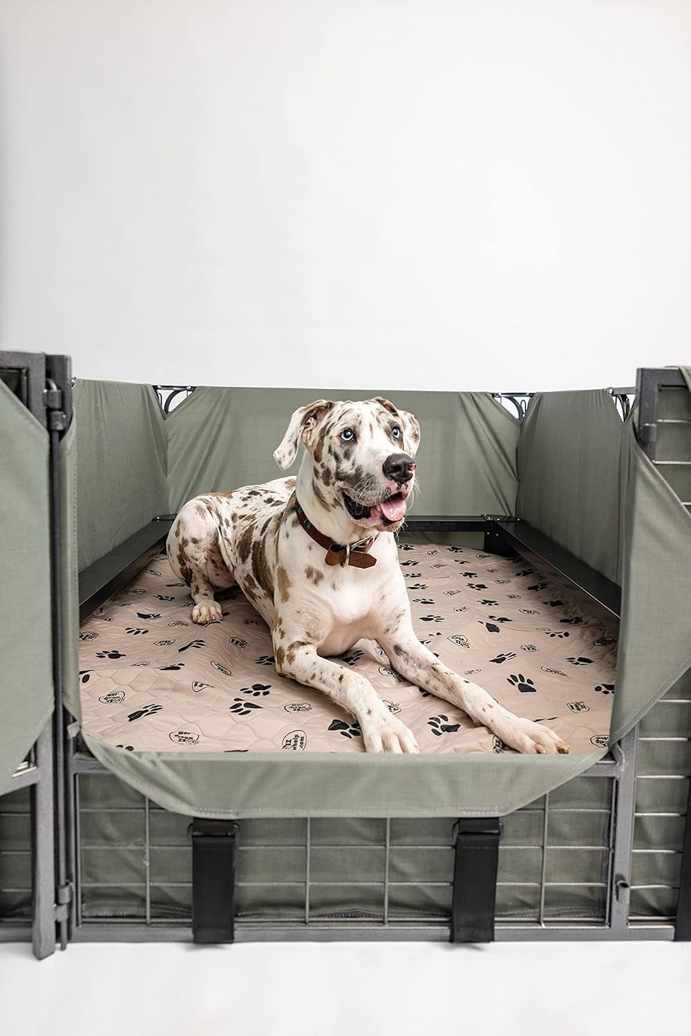 Ultimate Reusable Dog Pee Pads - Washable Waterproof Training Mats with Rounded Corners, 36x48 Inch, Set of 2 for Pet Lovers