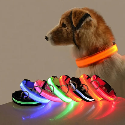 Illuminate Your Walks: Nylon LED Night Safety Flashing Glow in the Dark Dog Leash & Collar for All Dogs