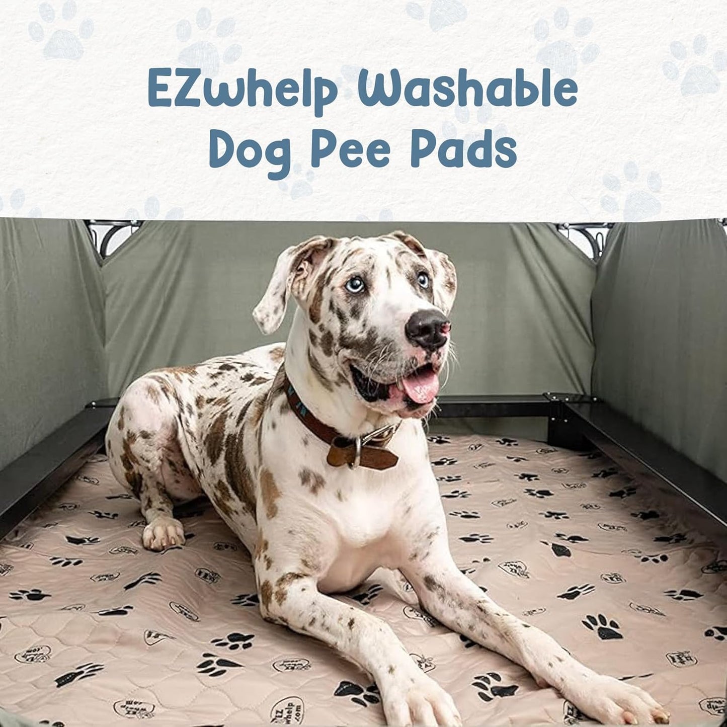 Ultimate Reusable Dog Pee Pads - Washable Waterproof Training Mats with Rounded Corners, 36x48 Inch, Set of 2 for Pet Lovers