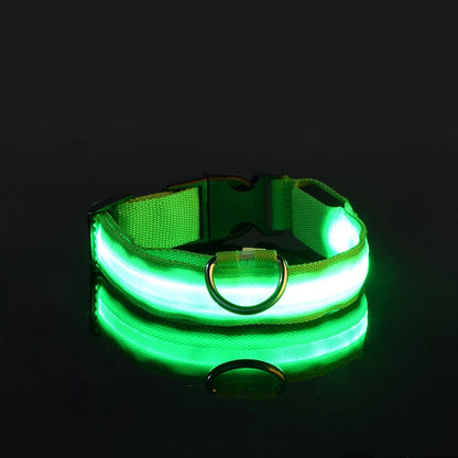 Illuminate Your Walks: Nylon LED Night Safety Flashing Glow in the Dark Dog Leash & Collar for All Dogs