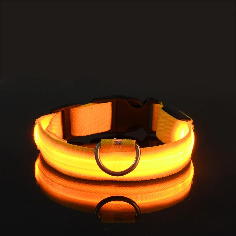 Illuminate Your Walks: Nylon LED Night Safety Flashing Glow in the Dark Dog Leash & Collar for All Dogs