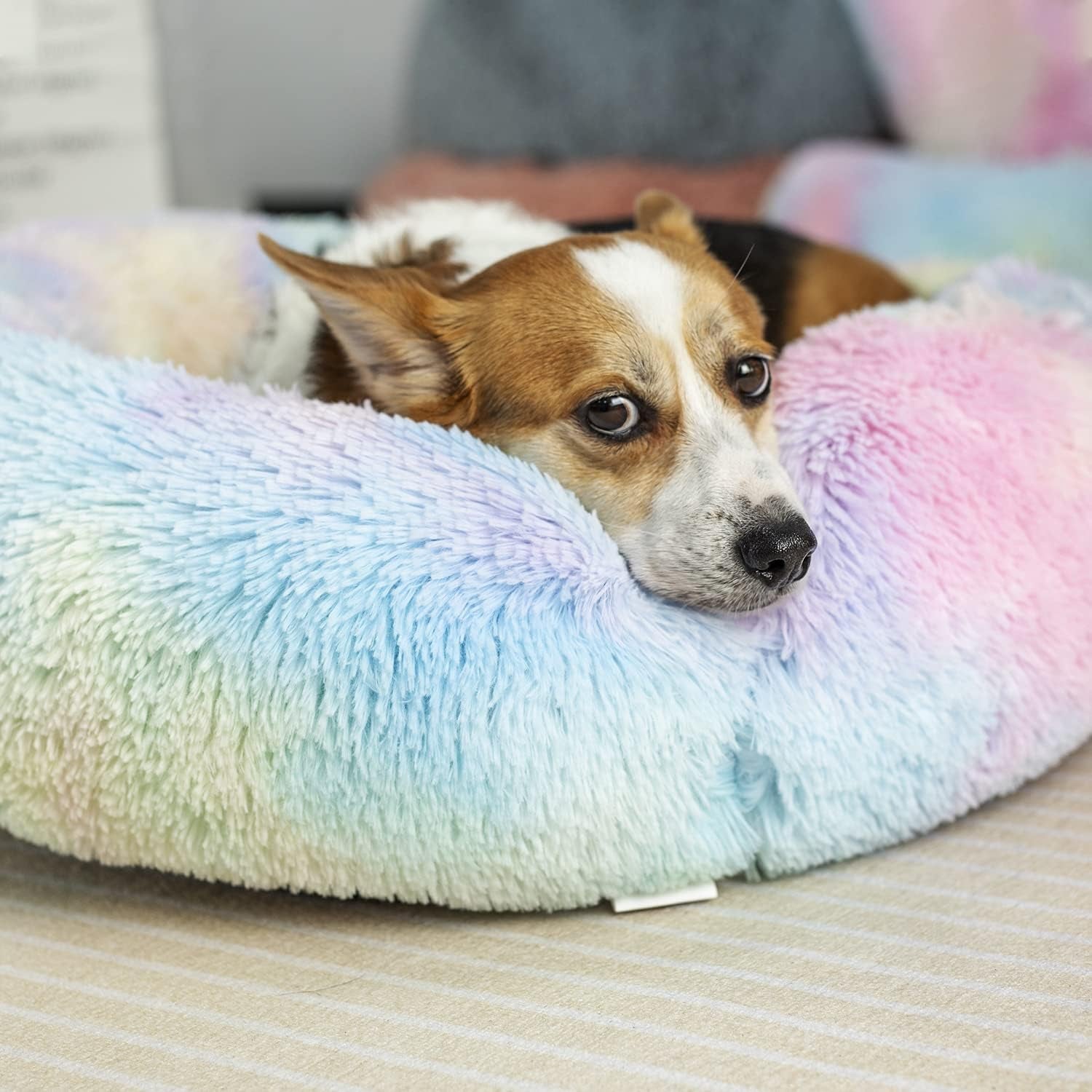 Cozy Rainbow Anti-Anxiety Plush Pet Bed for Dogs and Cats - Perfect Comfort for Small to Large Pets